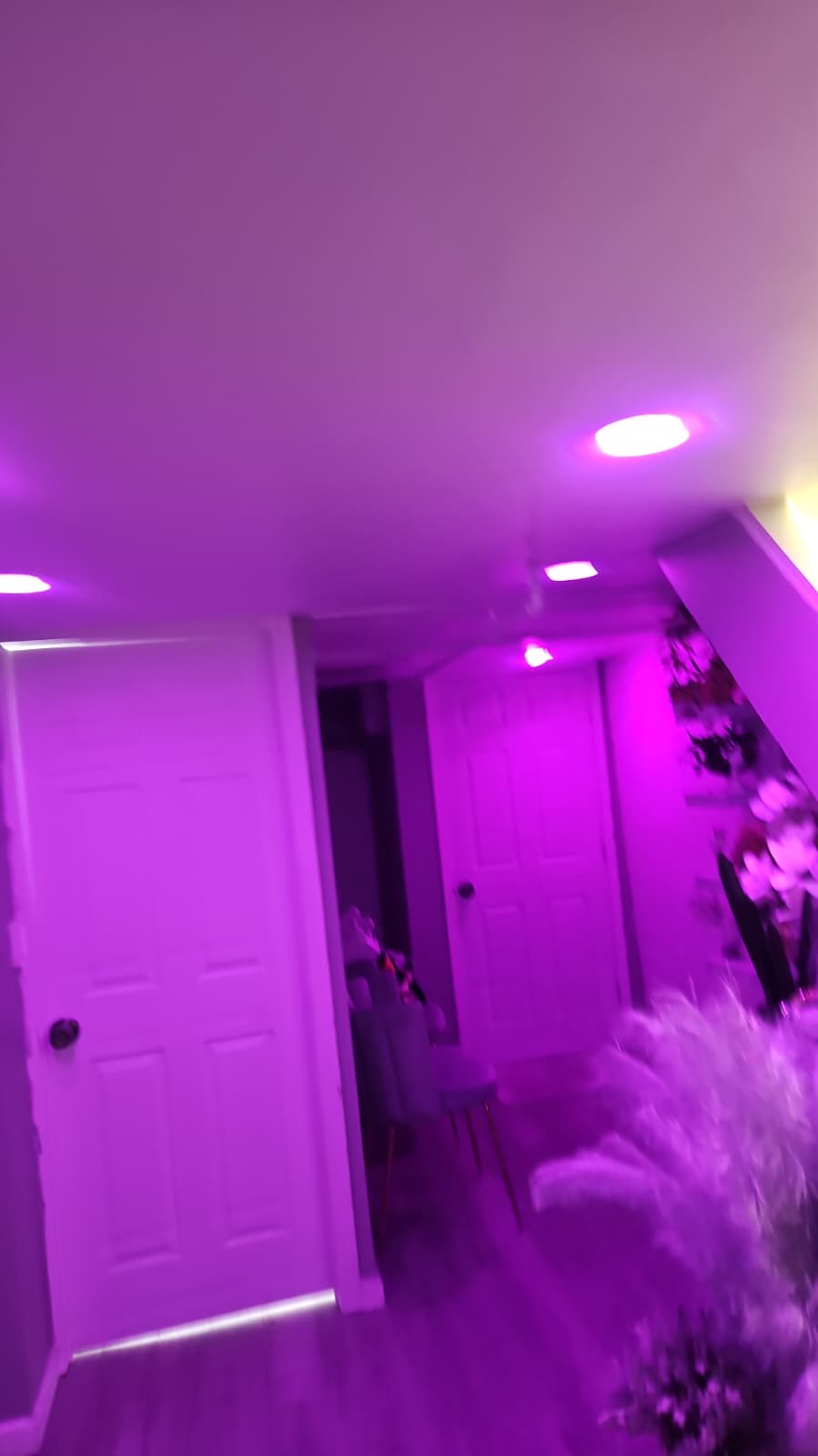 Inside MO'S Tend To Image — the studio in lavender light